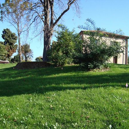 Casa Vacanze San Stefanetto Treiso Dış mekan fotoğraf