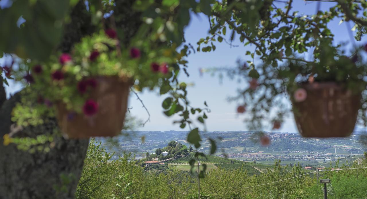 Casa Vacanze San Stefanetto Treiso Dış mekan fotoğraf